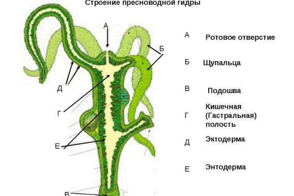Ссылка на кракен тор магазин