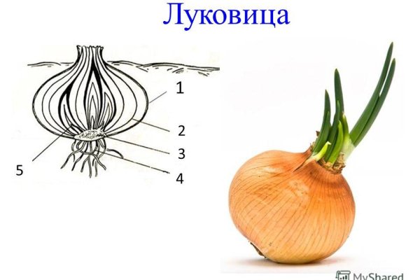 Кракен сайт это