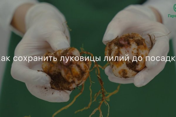 Кракен сайт ссылка