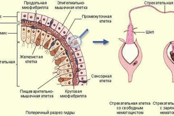 Как купить наркотик в кракен