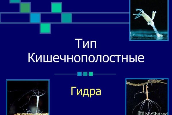 Кракен даркнет маркет ссылка на сайт тор