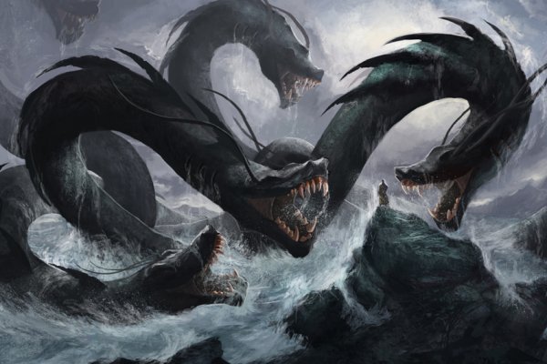 Kraken online
