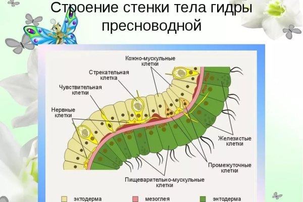Кракен даркнет текст