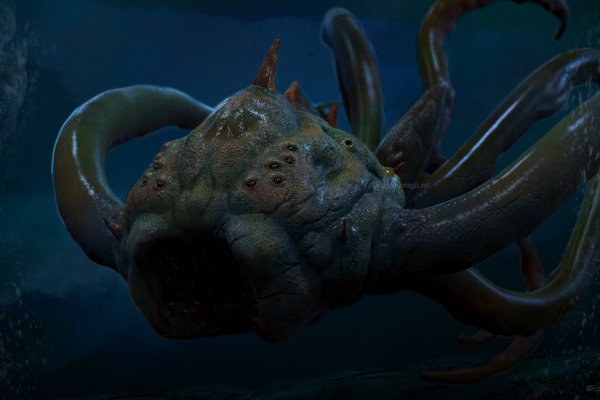 Kraken19at