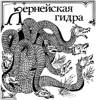 Kraken forum